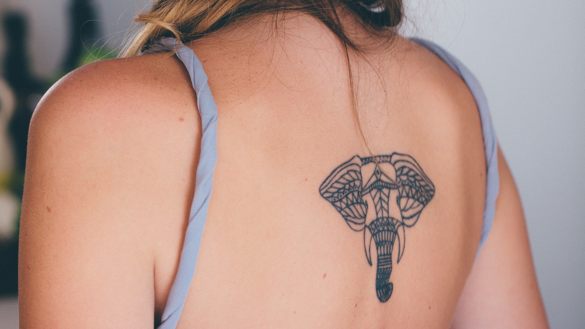Tattoo Studio Background